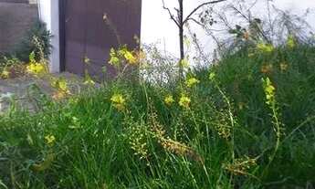 Imagem 4: Casa em Santa Tereza