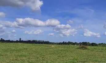 Imagem: SITIO CHACARA FAZENDA CONCEICAO JACUIPE