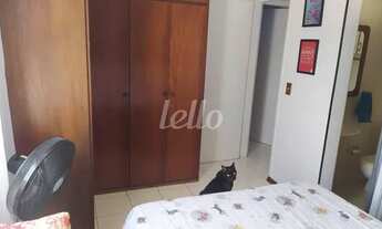 Imagem 7: São Paulo - Apartamento Padrão - Tucuruvi