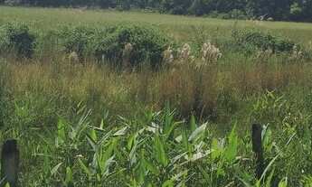 Imagem 2: 123. Fazendo no Município de Aquidauana/MS