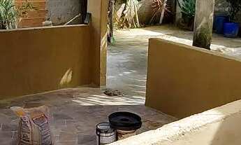 Imagem 5: Execelente Casa no bairro Magarça campo grande