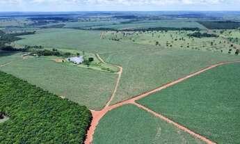 Imagem 4: 37 alqueirão - Cana - 65 ton