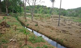 Imagem 3: Terreno 13.000 m², agua nos fundos, poço de peixe, fogão a lenha, terra ideal para plantio