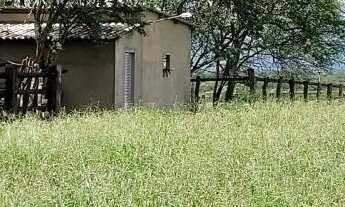 Imagem 6: FAZENDA EM RAFAEL JAMBEIRO - 900 TAREFAS