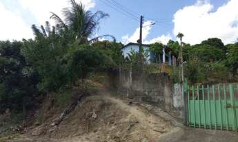 Imagem 3: Sítio em maribondo al