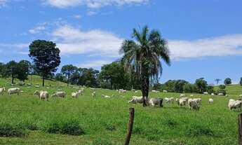 Imagem 2: Fazenda 26.8 alqueires município de Trindade-GO