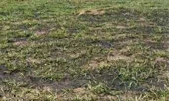 Imagem: Ágio de lote