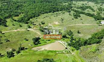 Imagem 7: Fazenda 323 alqueires (1.563 hectares) Colinas Do Sul - Go