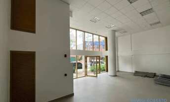 Imagem 7: LOJA - PERDIZES - SP