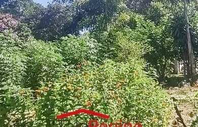 Imagem 3: TERRENO PARA VENDER EM CAÇAPAVA