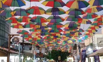 Imagem 2: Casa Porto de Galinhas