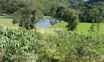 Imagem: Loteamento Bosque das Araucárias - Linha