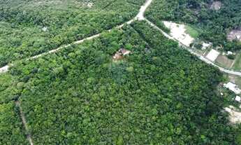 Imagem 4: Terreno Comercial em Tarumã: Oportunidade Única!
