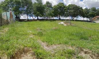 Imagem 6: Terreno Chácara 500 MTs