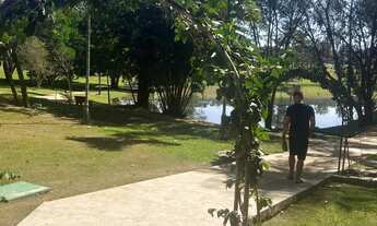 Imagem 3: Lote rosas de Leiria/estudo troca por AP