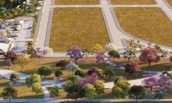 Imagem: Villaredo Aruana _ Lote de Repasse_ Grande