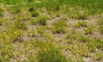 Imagem 2: Condomínio eville Rio preto próximo Alta vista