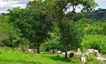 Imagem 6: Fazenda de 127 alq em Bela Vista Go
