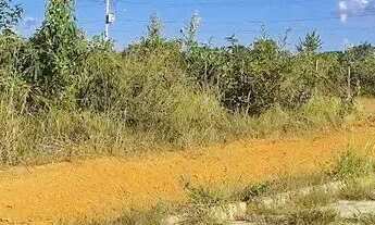 Imagem: Imóvel para venda com 1000 metros quadrados