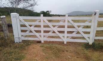 Imagem 6: Boa fazenda para produção criação, com sede de alto padrão , curral, poço e aguadas