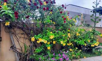 Imagem 3: Locação para o Carnaval