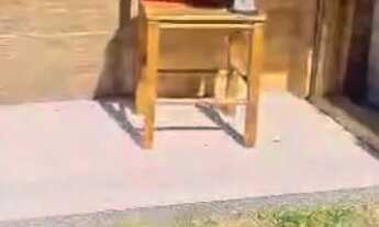 Imagem 5: Alugo casa terrea ingleses