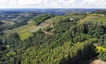 Imagem 5: INBOX CIA IMOBILIÁRIA VENDE, TERRENO EM MONTE BELO DO SUL, FRENTE NORTE