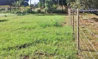 Imagem 4: Lote 400 m Padre Lúcio