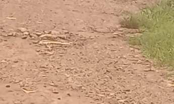 Imagem 6: Vender Terreno / lote com venda por R$200.000