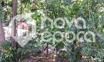 Imagem 7: Jardim Botânico