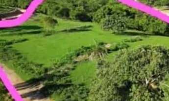 Imagem 5: Chácara ágio Chácara com venda por R$85.000