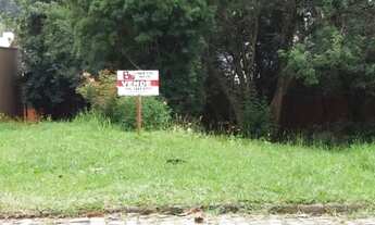 Imagem: CAXIAS DO SUL - Terreno Padrão - SANTA