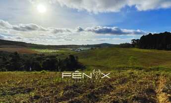 Imagem 2: Casa de condomínio para venda possui 500 metros quadrados