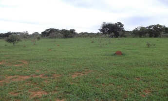 Imagem 2: Lindas fazendinhas de 20.000m² com córrego nos fundos. Serra do Cipó (Temos varias opções