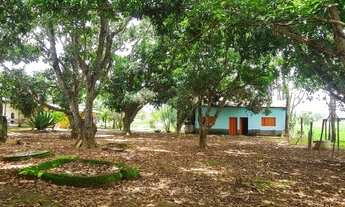 Imagem 2: BAIXEI PARA VENDER - Chácara no loteamento Quinta dos Sonhos - Terreno de 10.000m²