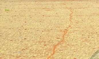 Imagem 4: Fazenda Dupla Aptidão 197 Alqueires. Tocantins