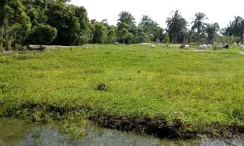 Imagem 5: ® FAZENDA MARAVILHOSA EM BAIXO GUANDU