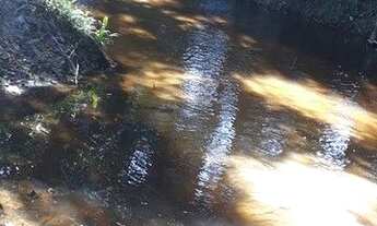 Imagem 6: ® FAZENDA MARAVILHOSA EM BAIXO GUANDU