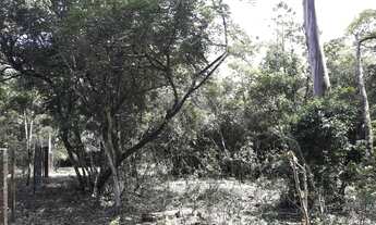 Imagem 2: Terreno à venda, Itapuã - Viamão/RS