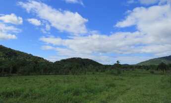 Imagem 10: FAZENDA Fazenda / sítio com venda por R$2.500.000