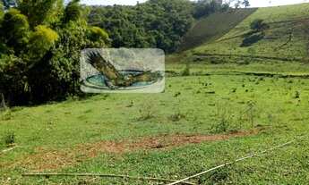 Imagem 3: Fazenda Pecuária para Venda em Centro Cambuí-MG - SI0035
