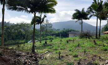Imagem 2: Terrenos no Centro de Pomerode - SC