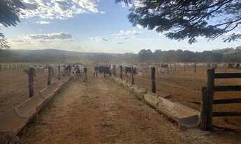 Imagem 6: Oportunidade! Vende-se uma belíssima fazenda de 250 Alqueires