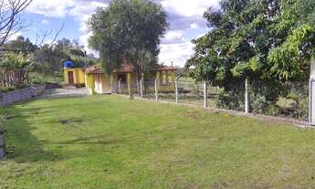 Imagem 5: R- 548 Vendo Belíssima propriedade de 18,5 hectares na região de Pelotas