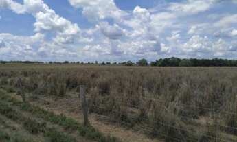 Imagem 7: Fazenda em Peixe