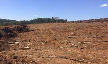 Imagem 2: Area para Silos Fazenda / sítio com venda por R$1.950.000