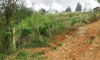 Imagem 3: Terreno a venda no bairro Ribeirão Paulo Lopes