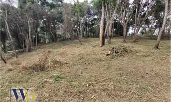 Imagem 7: Chácara para Venda em Campo Largo, Estrada da Faxina/Taquaral