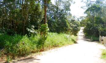 Imagem 3: Lotes 400m2 Pereira Barreto Ribeirão Pires Escritura e Iptu Financia Caixa