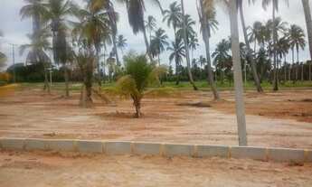 Imagem: Terreno em Sao Jose da Coroa Grande